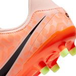 nike tiempo legend 10 academy fgmg jr guava | Best 1. FC Union Berlin Kits & Soccer Boots Collection